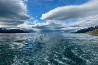Trump ukončil vědecký výzkum amerického pobřeží a cirkulace oceánských proudů